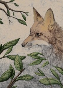 Rating: Safe Score: 0 Tags: 2010 ambiguous_gender black_nose blackdiaraikia canid canine disney dr621 e621 feral forest fox fur headshot_portrait mammal orange_body orange_fur outside plant portrait red_fox snout solo the_fox_and_the_hound tree true_fox vixey_(tfath) white_body white_fur wood User: bunchy7s Rating: Safe Score: 0 Tags: 2010 ambiguous_gender black_nose blackdiaraikia canid canine disney dr621 e621 feral forest fox fur headshot_portrait mammal orange_body orange_fur outside plant portrait red_fox snout solo the_fox_and_the_hound tree true_fox vixey_(tfath) white_body white_fur wood User: bunchy7s