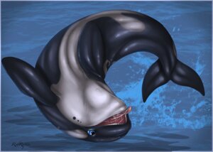 Rating: Safe Score: 0 Tags: ambiguous_gender aquatic blue_eyes bodily_fluids cetacean dolphin drooling e621 feral jumping mammal oceanic_dolphin orca partially_submerged redraptor16 saliva solo tongue tongue_out toothed_whale User: bunchy7s Rating: Safe Score: 0 Tags: ambiguous_gender aquatic blue_eyes bodily_fluids cetacean dolphin drooling e621 feral jumping mammal oceanic_dolphin orca partially_submerged redraptor16 saliva solo tongue tongue_out toothed_whale User: bunchy7s