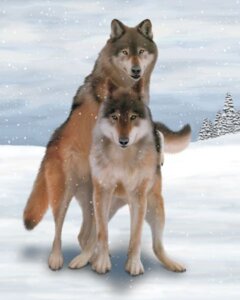 Rating: Safe Score: 0 Tags: 4:5 ambiguous_gender black_nose canid canine canis cloud duo e621 ebon_lupus feral fur hill mammal massage northwestern_wolf outside paws plant quadruped sky snow snowing tail tree wolf yellow_eyes User: bunchy7s Rating: Safe Score: 0 Tags: 4:5 ambiguous_gender black_nose canid canine canis cloud duo e621 ebon_lupus feral fur hill mammal massage northwestern_wolf outside paws plant quadruped sky snow snowing tail tree wolf yellow_eyes User: bunchy7s