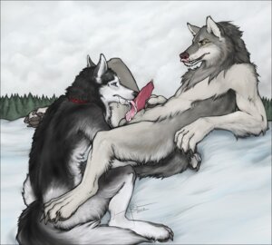 Rating: Explicit Score: 0 Tags: 2012 anthro bodily_fluids canid canine canis cum cum_in_mouth cum_inside domestic_dog duo e621 erection fellatio genital_fluids genitals husky licking male male/male male_penetrated male_penetrating male_penetrating_male mammal nordic_sled_dog oral penetration penile penis penis_lick rimestar sex spitz tail tongue tongue_out wolf User: bunchy7s Rating: Explicit Score: 0 Tags: 2012 anthro bodily_fluids canid canine canis cum cum_in_mouth cum_inside domestic_dog duo e621 erection fellatio genital_fluids genitals husky licking male male/male male_penetrated male_penetrating male_penetrating_male mammal nordic_sled_dog oral penetration penile penis penis_lick rimestar sex spitz tail tongue tongue_out wolf User: bunchy7s