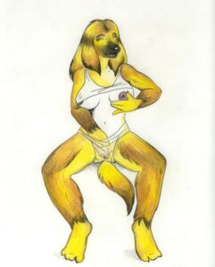Rating: Explicit Score: 0 Tags: afghan_hound anthro breasts canid canine canis clothing darkwolfe domestic_dog e621 eyes_closed female fingering fingering_self genitals hand_in_panties hand_in_underwear hunting_dog mammal masturbation nipples panties sighthound simple_background solo tail underwear vaginal vaginal_masturbation vulva white_background User: bunchy7s