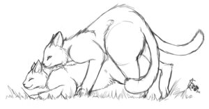 Rating: Explicit Score: 0 Tags: bite domestic_cat duo e621 eyes_closed felid feline felis female feral feral_on_feral from_behind_position genitals male male/female mammal monochrome sex sketchkat tail vulva User: bunchy7s