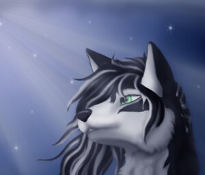 Rating: Safe Score: 0 Tags: ambiguous_gender anthro black_body black_fur canid canine canis cheek_tuft countershade_face countershading domestic_dog e621 facial_tuft fur green_eyes hair headshot_portrait husky mammal markings merevin multicolored_hair nordic_sled_dog outside pointy_ears portrait prick_ears shaded sky soft_shading solo spitz tuft two_tone_hair white_markings User: bunchy7s