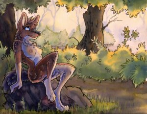 Rating: Questionable Score: 0 Tags: anthro breasts canid canine detailed_background dhole e621 female forest mammal mixed_media nature nipples nude outdoor_nudity outside painting_(artwork) pen_(artwork) plant ruaidri solo traditional_media_(artwork) traditional_painting_(artwork) traditional_watercolor_(artwork) tree watercolor_(artwork) User: bunchy7s Rating: Questionable Score: 0 Tags: anthro breasts canid canine detailed_background dhole e621 female forest mammal mixed_media nature nipples nude outdoor_nudity outside painting_(artwork) pen_(artwork) plant ruaidri solo traditional_media_(artwork) traditional_painting_(artwork) traditional_watercolor_(artwork) tree watercolor_(artwork) User: bunchy7s