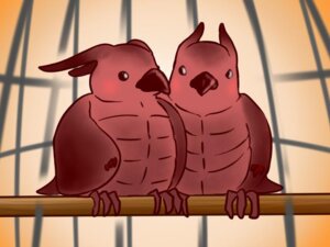 Rating: Safe Score: 0 Tags: 2013 4:3 ambiguous_gender avian beak bird brown_body brown_skin cage digital_media_(artwork) duo e621 feral kaiju kototo perching prehistoric_species pterosaur reptile rodan_(toho) scalie simple_background toho wings User: bunchy7s