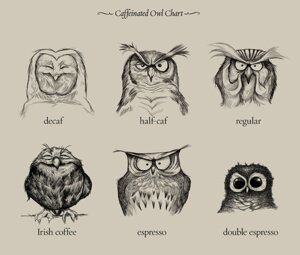 Rating: Safe Score: 0 Tags: ambiguous_gender avian beak beverage bird black_and_white coffee dave_mottram e621 english_text feral food looking_at_viewer monochrome multiple_images owl solo text User: bunchy7s Rating: Safe Score: 0 Tags: ambiguous_gender avian beak beverage bird black_and_white coffee dave_mottram e621 english_text feral food looking_at_viewer monochrome multiple_images owl solo text User: bunchy7s