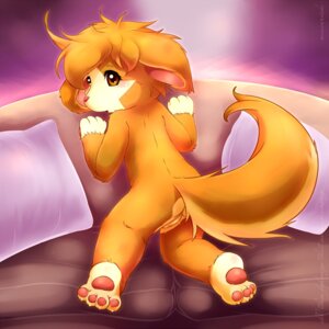 Rating: Explicit Score: 0 Tags: 1:1 2010 anthro brown_body brown_eyes brown_fur butt canid canine e621 fur furniture genitals looking_at_viewer looking_back male mammal maverick nude penis pillow pink_nose sofa solo tail User: bunchy7s