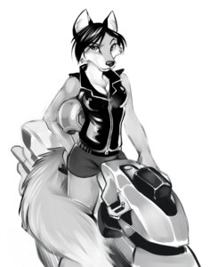 Rating: Safe Score: 0 Tags: anthro biped bottomwear canid canine clothing demicoeur digital_media_(artwork) e621 felenix female fox mammal monochrome motorcycle shorts simple_background sitting solo tail vehicle white_background User: bunchy7s