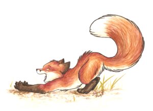 Rating: Safe Score: 0 Tags: 2008 ambiguous_gender ass_up canid canine dipstick_tail e621 eyes_closed feral fox fur mammal markings orange_body orange_fur red_fox silentravyn solo stretching tail tail_markings traditional_media_(artwork) true_fox User: bunchy7s Rating: Safe Score: 0 Tags: 2008 ambiguous_gender ass_up canid canine dipstick_tail e621 eyes_closed feral fox fur mammal markings orange_body orange_fur red_fox silentravyn solo stretching tail tail_markings traditional_media_(artwork) true_fox User: bunchy7s