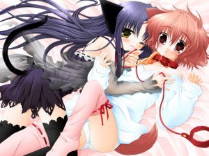 Rating: Questionable Score: 0 Tags: 4:3 animal_humanoid blush bottomwear canid canid_humanoid canine canine_humanoid canis cat_humanoid clothing collar dog_humanoid domestic_dog dominant dominant_female duo e621 fangs felid felid_humanoid feline feline_humanoid female female/female hair hi_res hinata_(pure_pure) humanoid leash looking_at_viewer mammal mammal_humanoid open_mouth red_hair sakurazawa_izumi skirt submissive submissive_female teeth tobari underwear wallpaper User: bunchy7s Rating: Questionable Score: 0 Tags: 4:3 animal_humanoid blush bottomwear canid canid_humanoid canine canine_humanoid canis cat_humanoid clothing collar dog_humanoid domestic_dog dominant dominant_female duo e621 fangs felid felid_humanoid feline feline_humanoid female female/female hair hi_res hinata_(pure_pure) humanoid leash looking_at_viewer mammal mammal_humanoid open_mouth red_hair sakurazawa_izumi skirt submissive submissive_female teeth tobari underwear wallpaper User: bunchy7s