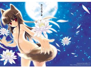 Rating: Questionable Score: 0 Tags: 1girls animal_ears blush breasts chimaro completely_nude female flower holo moon night night_sky nude nude_female nudist original outdoors outside petals rule34 sky small_breasts spice_and_wolf tail wolf_ears User: bunchy7s