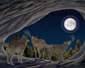 Rating: Explicit Score: 0 Tags: 2006 5:4 ambiguous_gender animal_genitalia animal_vulva anus breath brown_body brown_fur butt canid canine canine_genitalia canine_vulva canis cave clear_sky cold dark den detailed_background digitigrade e621 ebon_lupus eyes_closed female feral forest full_moon fur genitals grey_body grey_fur group halo howl male mammal moon moon_burst nature night northwestern_wolf open_mouth outside plant quadruped realistic shadow signature sky star starry_sky tail three_wolf_moon tree vulva wolf User: bunchy7s