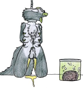 Rating: Explicit Score: 0 Tags: animal_genitalia balls bdsm bloodless bodily_fluids bondage bound brain_in_a_jar brain_surgery breasts chain cum cum_on_self death death_piss e621 erotic_asphyxiation genital_fluids genitals gore gore_focus green_nose green_tongue grotesque gynomorph gynomorph_death hanged intersex intersex_death multi_breast nude open_mouth organ_removal penis penis_tip sheath snuff solo tongue tongue_out urine what_has_science_done yourself_1990 zhiral User: bunchy7s Rating: Explicit Score: 0 Tags: animal_genitalia balls bdsm bloodless bodily_fluids bondage bound brain_in_a_jar brain_surgery breasts chain cum cum_on_self death death_piss e621 erotic_asphyxiation genital_fluids genitals gore gore_focus green_nose green_tongue grotesque gynomorph gynomorph_death hanged intersex intersex_death multi_breast nude open_mouth organ_removal penis penis_tip sheath snuff solo tongue tongue_out urine what_has_science_done yourself_1990 zhiral User: bunchy7s
