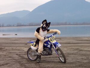 Rating: Safe Score: 0 Tags: 4:3 anthro canid canine canis clothing costume dirt_bike domestic_dog e621 fursuit german german_shepherd grandfathered_content herding_dog hi_res male mammal mixed_media motorcycle nature nitroshep outside pastoral_dog photo_background photography_(artwork) real sky solo tail unknown_artist vehicle User: bunchy7s Rating: Safe Score: 0 Tags: 4:3 anthro canid canine canis clothing costume dirt_bike domestic_dog e621 fursuit german german_shepherd grandfathered_content herding_dog hi_res male mammal mixed_media motorcycle nature nitroshep outside pastoral_dog photo_background photography_(artwork) real sky solo tail unknown_artist vehicle User: bunchy7s