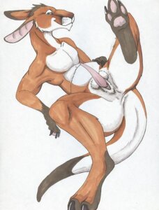 Rating: Explicit Score: 0 Tags: anatomically_correct animal_genitalia animal_penis anthro anus balls balls_above_penis biped cloaca e621 erection feet genitals hindpaw kangaroo looking_at_viewer lying macropod male mammal marsupial marsupial_penis nude on_back paws penis simple_background solo spread_legs spreading tail tapering_penis white_background zealand zim-gekko User: bunchy7s