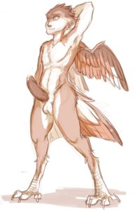 Rating: Explicit Score: 0 Tags: anthro avian balls biped e621 erection feathered_wings feathers genitals hoot_(artist) looking_at_viewer male nude penis pose simple_background sketch solo standing wings User: bunchy7s Rating: Explicit Score: 0 Tags: anthro avian balls biped e621 erection feathered_wings feathers genitals hoot_(artist) looking_at_viewer male nude penis pose simple_background sketch solo standing wings User: bunchy7s