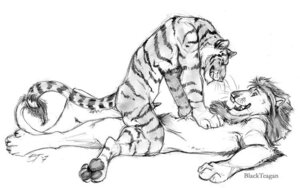 Rating: Explicit Score: 0 Tags: 4_fingers 4_toes anthro blackteagan claws cowgirl_position duo e621 eye_contact feet felid fingers from_front_position fur greyscale happy happy_sex lion looking_at_another lying male male/male male_on_bottom male_on_top mammal mane monochrome nude on_back on_bottom on_top open_mouth pantherine pawpads sex simple_background smile straddling striped_body striped_fur stripes tail tail_tuft teeth tiger toe_claws toes tuft white_background User: bunchy7s Rating: Explicit Score: 0 Tags: 4_fingers 4_toes anthro blackteagan claws cowgirl_position duo e621 eye_contact feet felid fingers from_front_position fur greyscale happy happy_sex lion looking_at_another lying male male/male male_on_bottom male_on_top mammal mane monochrome nude on_back on_bottom on_top open_mouth pantherine pawpads sex simple_background smile straddling striped_body striped_fur stripes tail tail_tuft teeth tiger toe_claws toes tuft white_background User: bunchy7s