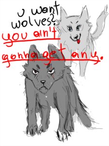 Rating: Safe Score: 0 Tags: akkira black_claws black_nose blue_eyes canid canine canis claws duo e621 english_text female feral frown fur grey_body grey_fur male mammal nude quadruped red_eyes simple_background tail text tongue toony white_background wolf User: bunchy7s