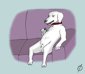 Rating: Explicit Score: 0 Tags: brian_griffin empty_set family_guy male male_only rule34 tagme User: bunchy7s