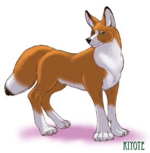 Rating: Safe Score: 0 Tags: 4_toes ambiguous_gender black_body black_fur black_nose canid canine canis claws coyote digital_media_(artwork) dipstick_tail e621 feet feral fur gideon green_eyes looking_aside mammal markings multicolored_tail nude orange_body orange_fur simple_background smile solo tail tail_markings toes white_background white_body white_fur User: bunchy7s Rating: Safe Score: 0 Tags: 4_toes ambiguous_gender black_body black_fur black_nose canid canine canis claws coyote digital_media_(artwork) dipstick_tail e621 feet feral fur gideon green_eyes looking_aside mammal markings multicolored_tail nude orange_body orange_fur simple_background smile solo tail tail_markings toes white_background white_body white_fur User: bunchy7s