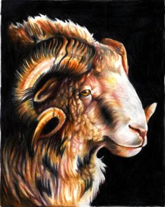 Rating: Safe Score: 0 Tags: 2009 ambiguous_gender black_background bovid brown_eyes caprine curled_horn e621 eattoast feral fluffy headshot_portrait horizontal_pupils horn looking_at_viewer mammal portrait pupils simple_background solo traditional_media_(artwork) User: bunchy7s