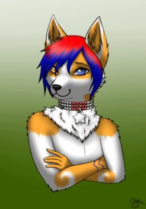 Rating: Safe Score: 0 Tags: 2013 animated animated_gif blinking bust_portrait canid canine chiroina collar crossed_arms e621 fox fur hair heterochromia male mammal multicolored_hair portrait short_playtime solo two_tone_hair User: bunchy7s