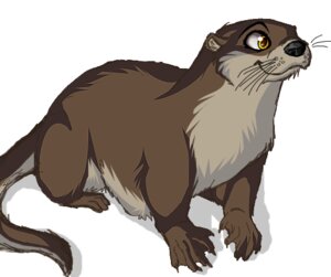 Rating: Safe Score: 0 Tags: 2011 5_toes amber_eyes ambiguous_gender black_nose brown_body brown_fur candyfoxy digital_media_(artwork) e621 feet feral fur happy low_res mammal multicolored_body multicolored_fur mustelid otter shaded simple_background solo tail toes whiskers white_background User: bunchy7s Rating: Safe Score: 0 Tags: 2011 5_toes amber_eyes ambiguous_gender black_nose brown_body brown_fur candyfoxy digital_media_(artwork) e621 feet feral fur happy low_res mammal multicolored_body multicolored_fur mustelid otter shaded simple_background solo tail toes whiskers white_background User: bunchy7s