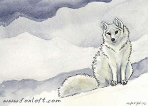 Rating: Safe Score: 0 Tags: 2012 ambiguous_gender arctic_fox canid canine e621 feral fox foxfeather fur light_theme low_res mammal outside snow solo tail text true_fox url white_body white_fur winter User: bunchy7s