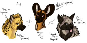 Rating: Safe Score: 0 Tags: 2:1 african_wild_dog ambiguous_gender canid canine canis domestic_dog e621 feral group hyena informative likeshine mammal simple_background spotted_hyena striped_hyena tagging_guidelines_illustrated white_background User: bunchy7s