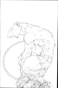 Rating: Safe Score: 0 Tags: anthro bone brett_booth crouching e621 hi_res male mammal monochrome murid murine muscular muscular_anthro muscular_male pose profile rat rodent skull solo tail User: bunchy7s Rating: Safe Score: 0 Tags: anthro bone brett_booth crouching e621 hi_res male mammal monochrome murid murine muscular muscular_anthro muscular_male pose profile rat rodent skull solo tail User: bunchy7s