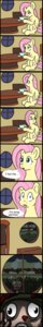 Rating: Questionable Score: 0 Tags: absurd_res blue_eyes clothing comic container creepy cup cutie_mark davionx dialogue door e621 english_text equid equine eyewear feathered_wings feathers female feral fluttershy_(mlp) forest friendship_is_magic fur furniture glare grass hair hasbro hat headgear headwear hi_res inside long_hair long_image looking_at_viewer male mammal my_little_pony mythological_creature mythological_equine mythology open_mouth outside pegasus pink_hair plant shrub sitting sky smile stalking table tall_image tea_cup teeth text tree window wings yellow_body yellow_feathers yellow_fur User: bunchy7s