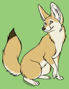 Rating: Safe Score: 0 Tags: 2010 ambiguous_gender canid canine countershading digitigrade dipstick_tail e621 fennec_fox feral fox fur mammal markings multicolored_tail noktivus simple_background solo tail tail_markings tan_body tan_fur true_fox User: bunchy7s Rating: Safe Score: 0 Tags: 2010 ambiguous_gender canid canine countershading digitigrade dipstick_tail e621 fennec_fox feral fox fur mammal markings multicolored_tail noktivus simple_background solo tail tail_markings tan_body tan_fur true_fox User: bunchy7s