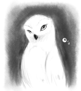 Rating: Safe Score: 0 Tags: ambiguous_gender avian beak bird dawkz e621 feathers feral hi_res horned_owl monochrome owl simple_background snowy_owl solo true_owl wings User: bunchy7s Rating: Safe Score: 0 Tags: ambiguous_gender avian beak bird dawkz e621 feathers feral hi_res horned_owl monochrome owl simple_background snowy_owl solo true_owl wings User: bunchy7s