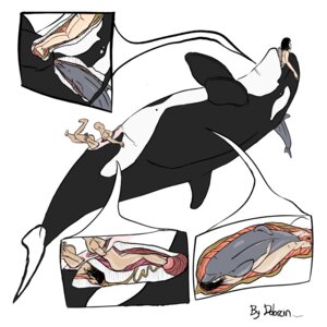 Rating: Explicit Score: 0 Tags: anal_vore animal cervix cetacean dolorcin dolphin female feral feral_unbirthing_human human internal interspecies male marine orca rule34 size_difference unbirthing vore whale what zoophilia User: bunchy7s Rating: Explicit Score: 0 Tags: anal_vore animal cervix cetacean dolorcin dolphin female feral feral_unbirthing_human human internal interspecies male marine orca rule34 size_difference unbirthing vore whale what zoophilia User: bunchy7s