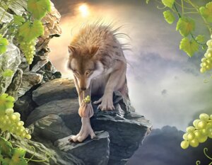 Rating: Safe Score: 0 Tags: ambiguous_gender bag canid canine canis claws cloud digital_media_(artwork) e621 feral fog food front_view fruit grape high_place khaosdog mammal mane mythological_canine mythological_creature mythology nude outside photorealism plant realistic sky solo werecanid werecanine werecreature werewolf wolf yellow_eyes User: bunchy7s