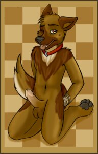 Rating: Explicit Score: 0 Tags: amber_eyes anthro arcais balls bdsm biped black_nose black_pawpads bondage bound brixston canid canine canis collar domestic_dog e621 erection genitals german_shepherd herding_dog kneeling looking_at_viewer male mammal nude pastoral_dog pawpads paws penis pinup pose solo submissive submissive_male tail tongue tongue_out User: bunchy7s Rating: Explicit Score: 0 Tags: amber_eyes anthro arcais balls bdsm biped black_nose black_pawpads bondage bound brixston canid canine canis collar domestic_dog e621 erection genitals german_shepherd herding_dog kneeling looking_at_viewer male mammal nude pastoral_dog pawpads paws penis pinup pose solo submissive submissive_male tail tongue tongue_out User: bunchy7s
