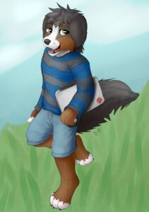 Rating: Safe Score: 0 Tags: anthro bernese_mountain_dog biped canid canine canis cloud computer domestic_dog e621 electronics fluffy fuzzywuff grass hi_res howie_lament laptop looking_at_viewer male mammal molosser mountain_dog outside plant simple_background sky smile solo swiss_mountain_dog walking User: bunchy7s Rating: Safe Score: 0 Tags: anthro bernese_mountain_dog biped canid canine canis cloud computer domestic_dog e621 electronics fluffy fuzzywuff grass hi_res howie_lament laptop looking_at_viewer male mammal molosser mountain_dog outside plant simple_background sky smile solo swiss_mountain_dog walking User: bunchy7s