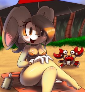 Rating: Safe Score: 0 Tags: aged_up anthro anthrofied aquatic arthropod badnik barefoot beach beach_towel beach_umbrella big_breasts bikini biped blush breasts clothed clothing crab crabmeat cream_the_rabbit crustacean decapod duo e621 feet female feral gloves handwear lagomorph leporid machine malacostracan mammal nancher on_towel outside parasol rabbit robot seaside sega skimpy smile sonic_the_hedgehog_(series) sunscreen swimwear thick_thighs towel two-piece_swimsuit User: bunchy7s