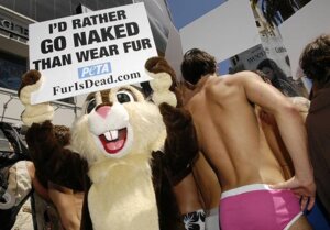 Rating: Questionable Score: 0 Tags: anthro chipmunk clothed clothing costume e621 fursuit grandfathered_content ground_squirrel group human irony lagomorph leporid low_res male male_human mammal peta pink_clothing pink_underwear politics protest rabbit real reptile rodent scalie sciurid snake underwear unknown_artist weeds_(series) User: bunchy7s Rating: Questionable Score: 0 Tags: anthro chipmunk clothed clothing costume e621 fursuit grandfathered_content ground_squirrel group human irony lagomorph leporid low_res male male_human mammal peta pink_clothing pink_underwear politics protest rabbit real reptile rodent scalie sciurid snake underwear unknown_artist weeds_(series) User: bunchy7s