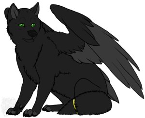 Rating: Safe Score: 0 Tags: ambiguous_gender black_body black_feathers black_fur canid canine canis e621 feathered_wings feathers feral fur grey_paws mammal quadruped solo tail toradoshi wings wolf User: bunchy7s