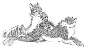 Rating: Explicit Score: 0 Tags: 2003 anthro anthro_on_anthro balls blotch circumcised duo e621 erection felid flaccid genitals greyscale humanoid_genitalia humanoid_penis leopard male male/male mammal monochrome nude pantherine penis tanglefoot_(artist) tiger traditional_media_(artwork) unavailable_at_source User: bunchy7s