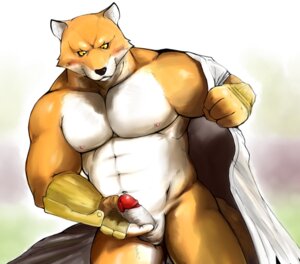 Rating: Explicit Score: 0 Tags: abs anthro balls biceps big_muscles bleach_(series) blush canid canine canis clothing colored e621 erection foreskin genitals humanoid_genitalia humanoid_penis iceman1984 male mammal masturbation muscular muscular_anthro muscular_male nipples nude pecs penile penile_masturbation penis sajin_komamura simple_background solo undressing white_background wolf User: bunchy7s