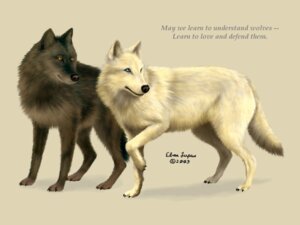 Rating: Safe Score: 0 Tags: 2003 4:3 amber_eyes ambiguous_gender black_body black_claws black_fur black_lips black_nose blue_eyes canid canine canis claws duo e621 ebon_lupus english_text feral fluffy fluffy_tail fur grey_background lips looking_away mammal monochrome paws photorealism quote raised_paw realistic shadow simple_background tail text white_body white_fur wolf User: bunchy7s