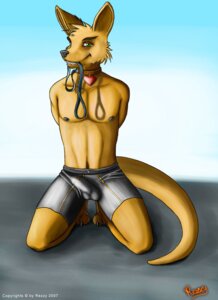 Rating: Explicit Score: 0 Tags: 2007 anthro balls_outline biped black_nose brown_body brown_fur bulge claws clothed clothing collar collar_tag compression_shorts detailed_bulge e621 erection erection_under_clothing front_view fur genital_outline green_eyes grin hands_behind_back heart_symbol kangaroo kneeling leash leash_in_mouth looking_at_viewer macropod male mammal marsupial muscular muscular_anthro muscular_male navel nipples object_in_mouth outside pecs penis_outline rezzy shadow signature simple_background sky smile solo submissive submissive_male tail teasing teeth topless underwear yellow_body yellow_fur User: bunchy7s