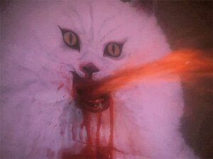 Rating: Questionable Score: 0 Tags: 2011 ambiguous_gender animated animated_gif blood blood_from_mouth blood_in_mouth bodily_fluids domestic_cat e621 felid feline felis film_scenes grandfathered_content house_(1977_film) loop low_res mammal meme messy real screencap short_playtime solo unknown_artist vomit vomiting vomiting_blood what User: bunchy7s