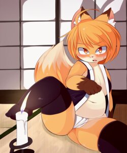 Rating: Questionable Score: 0 Tags: 5:6 akitaka anthro belly blush candle canid canine clothing e621 fangs female fox hi_res legwear mammal navel ninja ninja_training_(original_title) panties slightly_chubby solo tail teeth thigh_highs underwear warrior User: bunchy7s