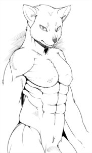 Rating: Questionable Score: 0 Tags: 2012 abs anthro black_and_white canid canine e621 fur hi_res looking_aside looking_at_viewer male mammal monochrome muscular muscular_anthro muscular_male nipples nude simple_background sindoll solo white_background User: bunchy7s