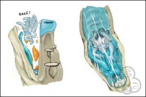 Rating: Questionable Score: 0 Tags: 3:2 blue_insides blue_tongue bodily_fluids cheeto cyan_insides cyan_mouth digital_media_(artwork) dragon drooling duo e621 extreme_size_difference eyewear fangs feral food gaping_mouth glasses hida male membrane_(anatomy) membranous_wings mephitoad mouth_shot mythological_creature mythological_scalie mythology oddbird open_mouth oral_vore palate saliva saliva_string scalie simple_background size_difference slug_(character) tail teeth tongue vore white_background wings User: bunchy7s