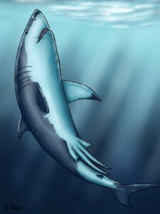 Rating: Explicit Score: 0 Tags: 3:4 absurd_res anatomically_correct animal_genitalia aquatic black_eyes claspers dolorcin e621 feral fish genitals gills hi_res male multi_genitalia multi_penis nude penis scar sea shark solo water User: bunchy7s