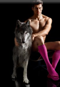 Rating: Questionable Score: 0 Tags: canid canine canis clothing duo e621 feral footwear grandfathered_content human legwear male mammal real socks unknown_artist wolf User: bunchy7s Rating: Questionable Score: 0 Tags: canid canine canis clothing duo e621 feral footwear grandfathered_content human legwear male mammal real socks unknown_artist wolf User: bunchy7s